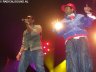 Shaggy at Two Sevens Splash 2008, Amsterdam 13.jpg - 